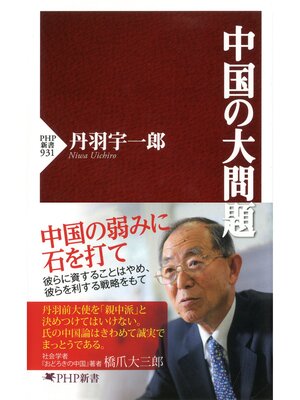 cover image of 中国の大問題